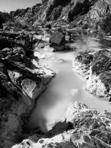 10309517_10205530809255368_7955231759095446579_n