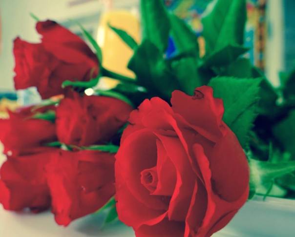 13435960_10209946201116654_1383205637_n