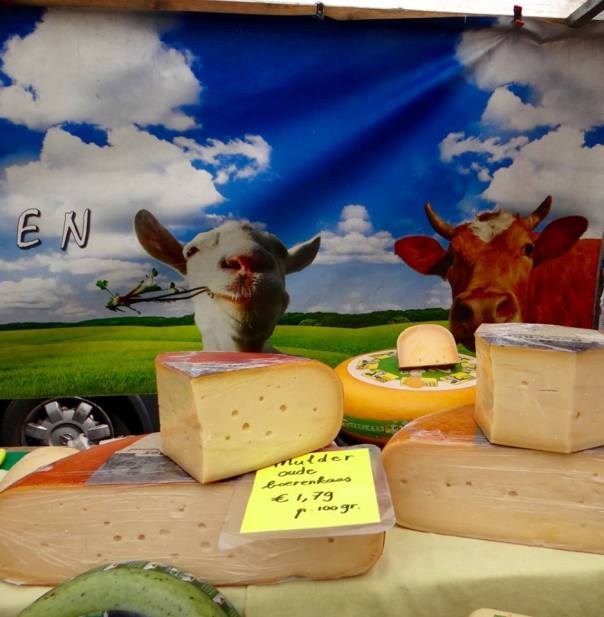 13443996_10209945974430987_205460338_n