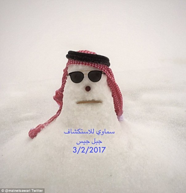 3cd7bb4300000578-4192220-image-a-3_1486250314095