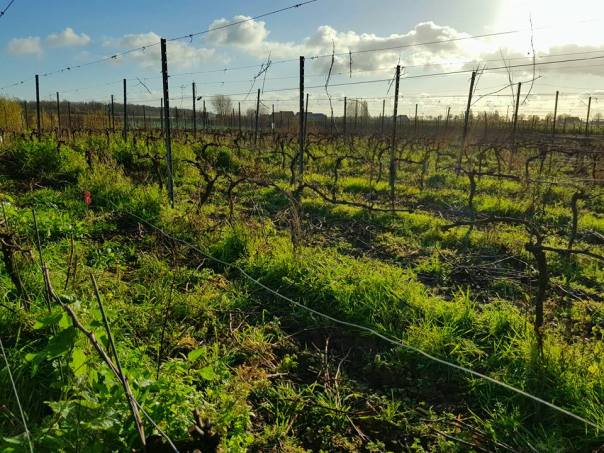 25158004_10215251795833206_3936977981458644769_n