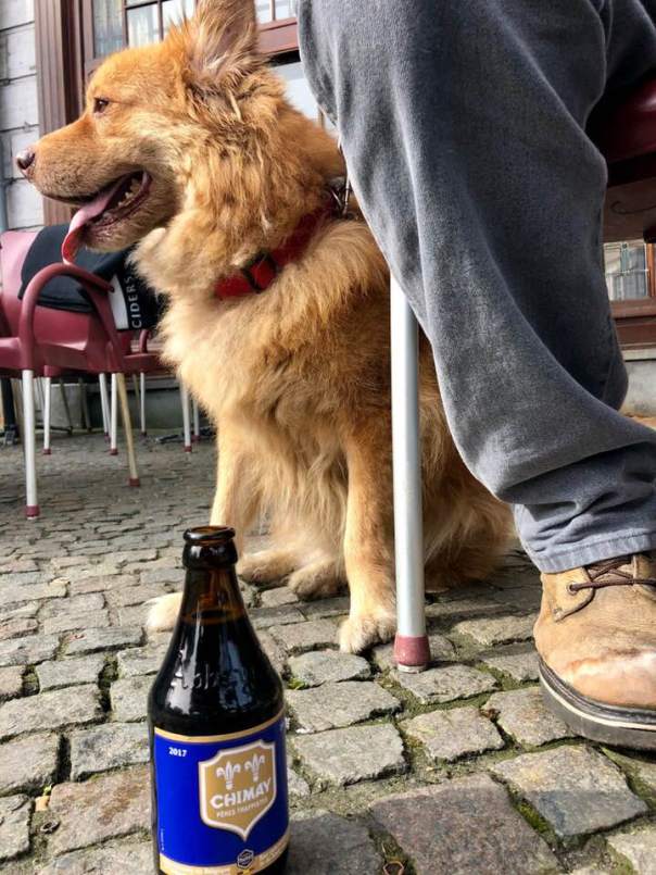 29025363_10216069401792844_3661039679412633600_n