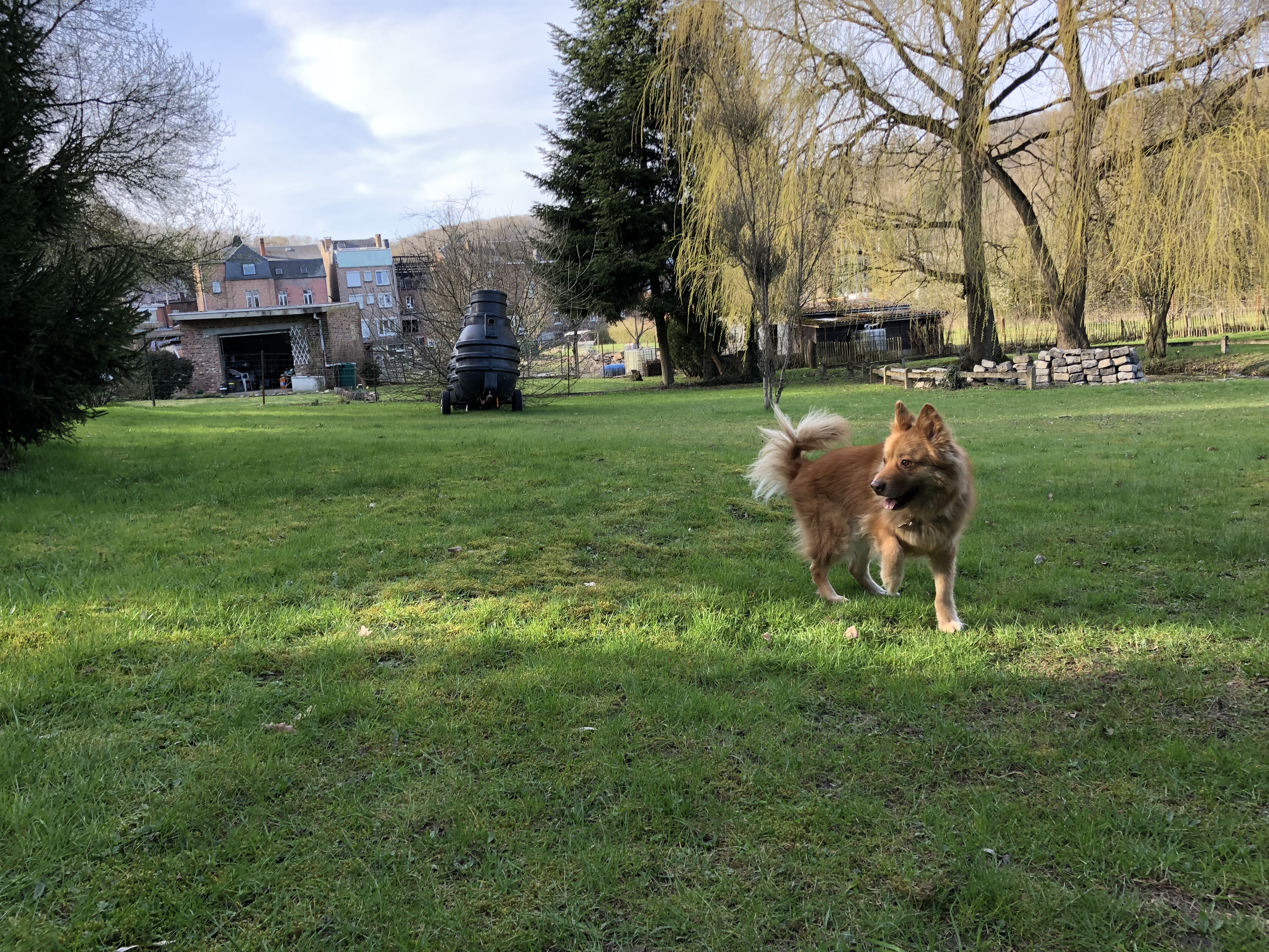 3CAF604B-6F65-41D3-8E85-9AF6A659C454