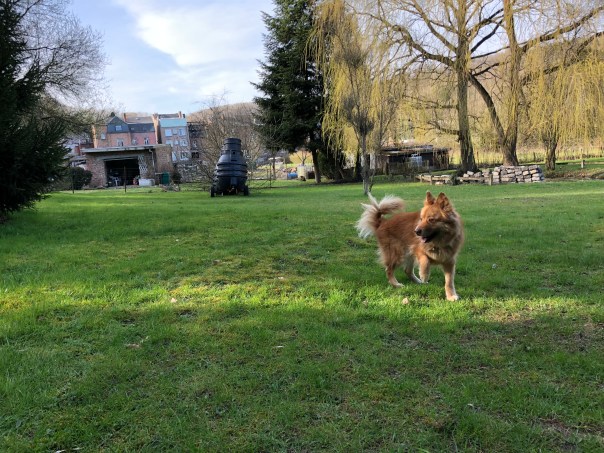 3CAF604B-6F65-41D3-8E85-9AF6A659C454