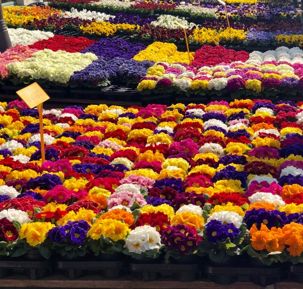 817794A5-E964-4E81-88DF-1693E856CBC0