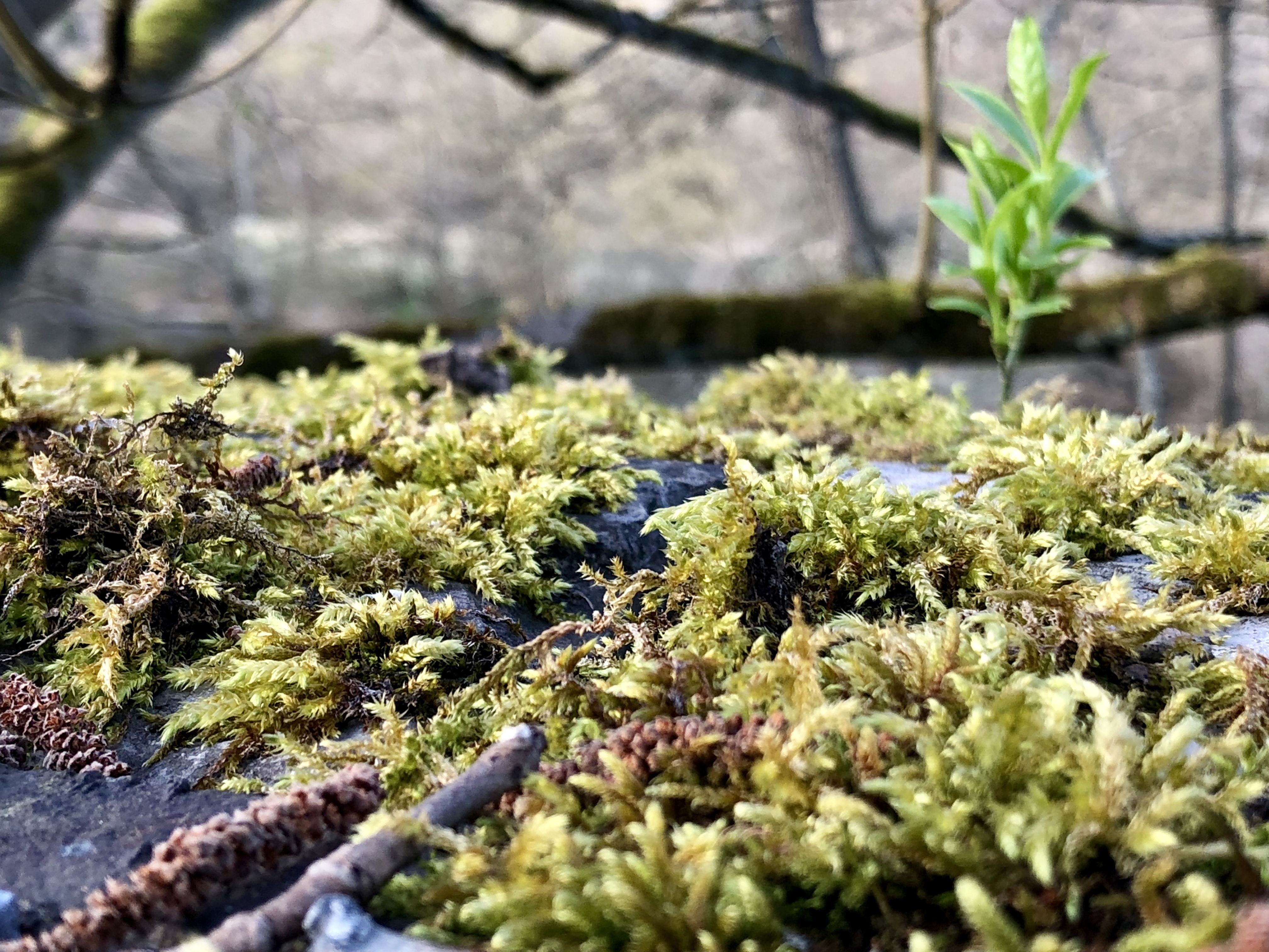 88723139-104A-4183-B193-912530D34E28