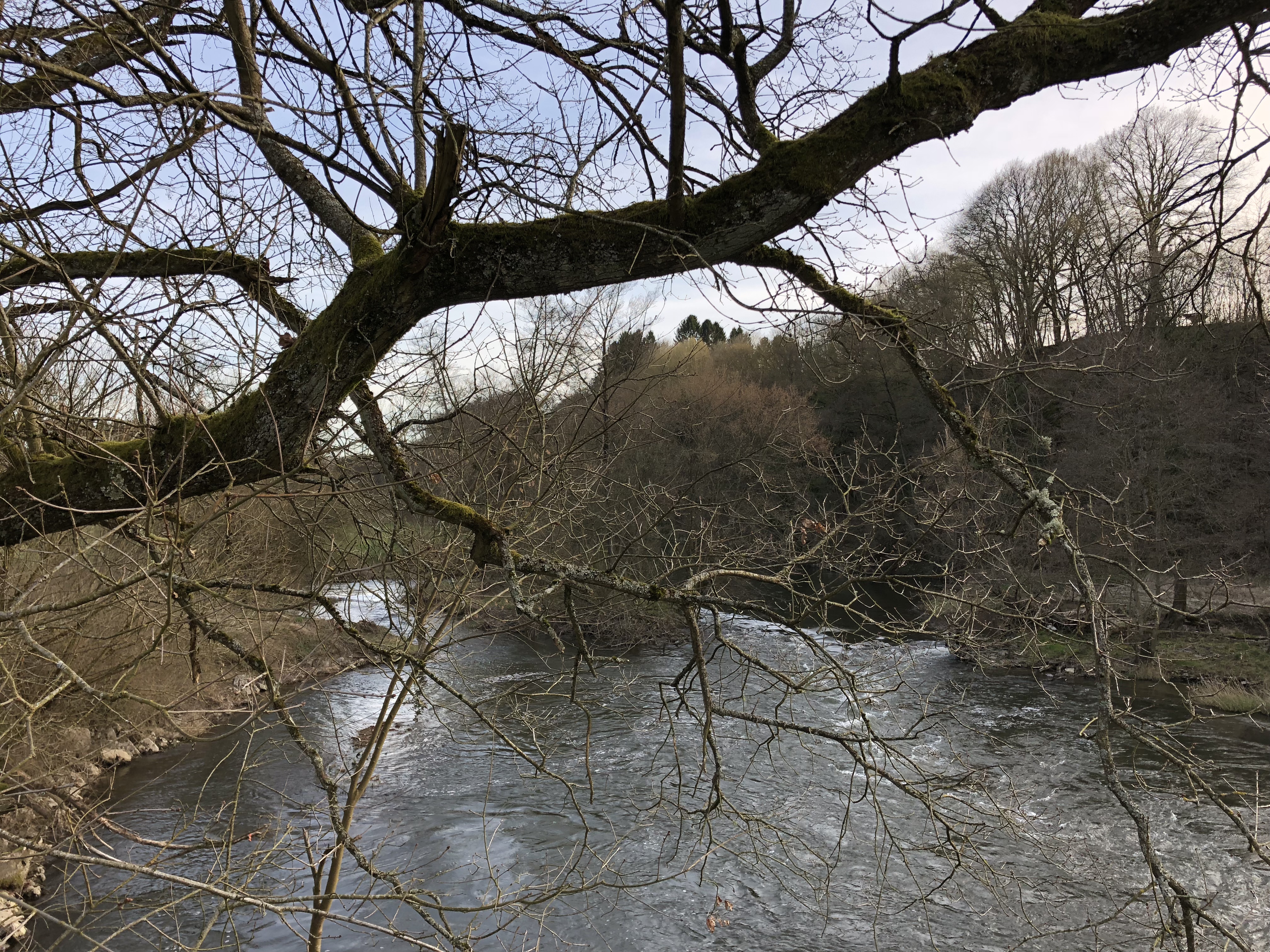 CD5DF428-F633-4B50-AC47-F6F64BD68506