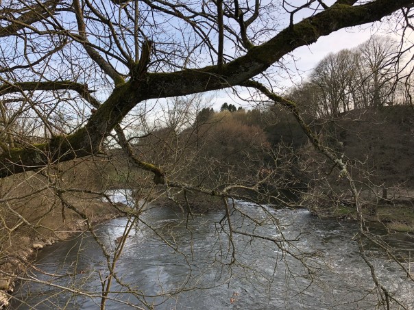 CD5DF428-F633-4B50-AC47-F6F64BD68506