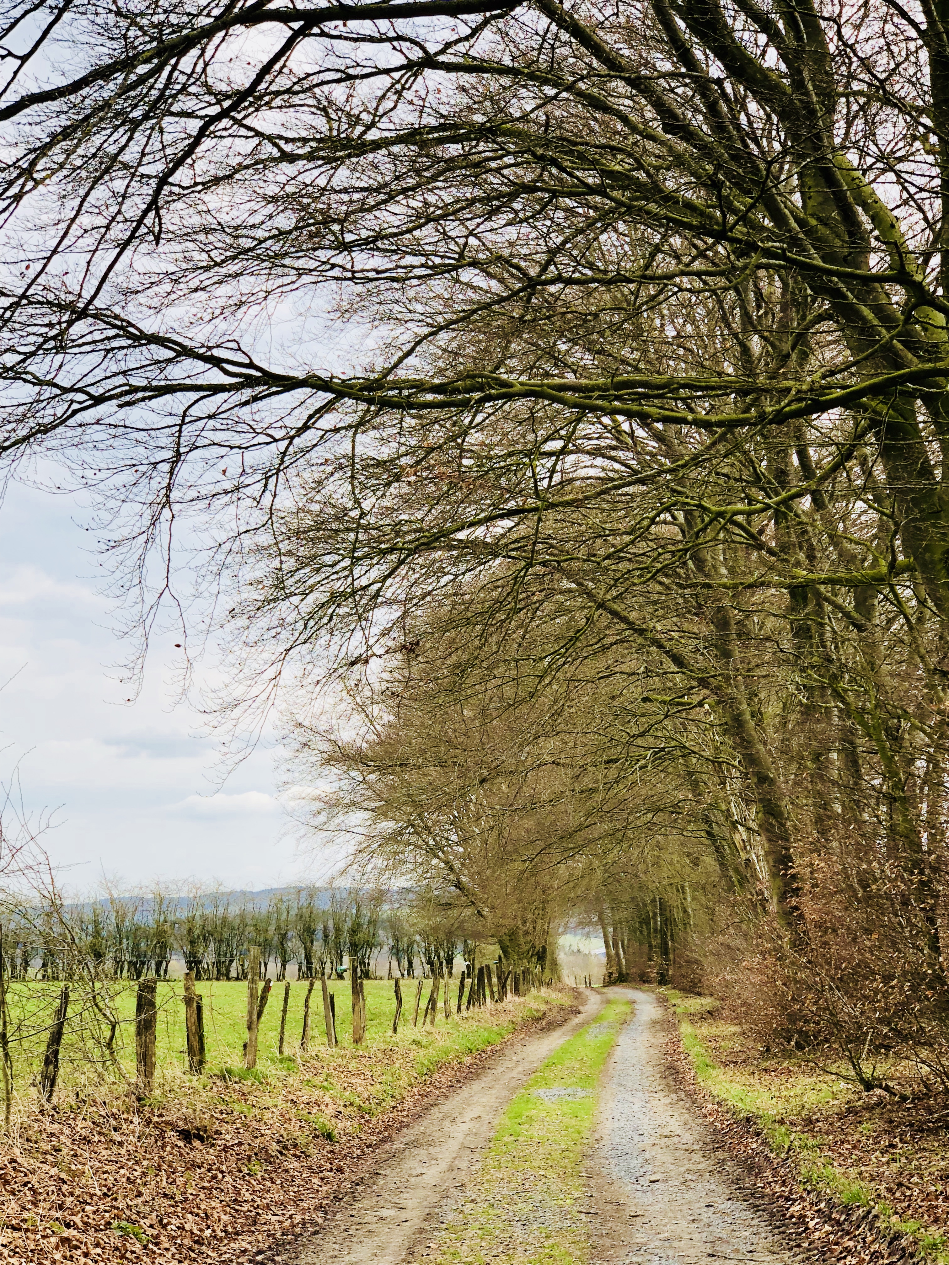 DD98E623-8D61-4327-AE69-70F7DB4CB243