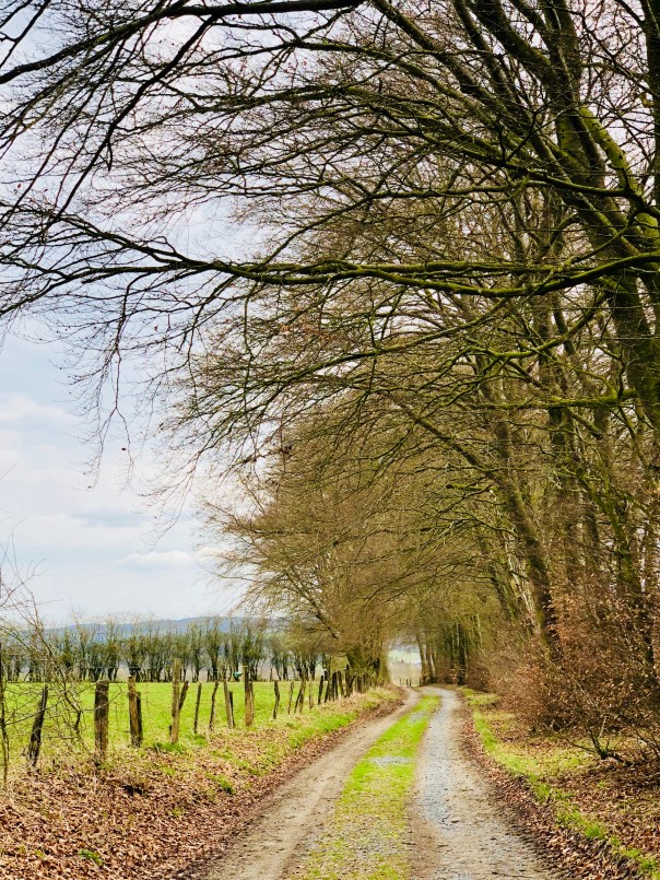 DD98E623-8D61-4327-AE69-70F7DB4CB243