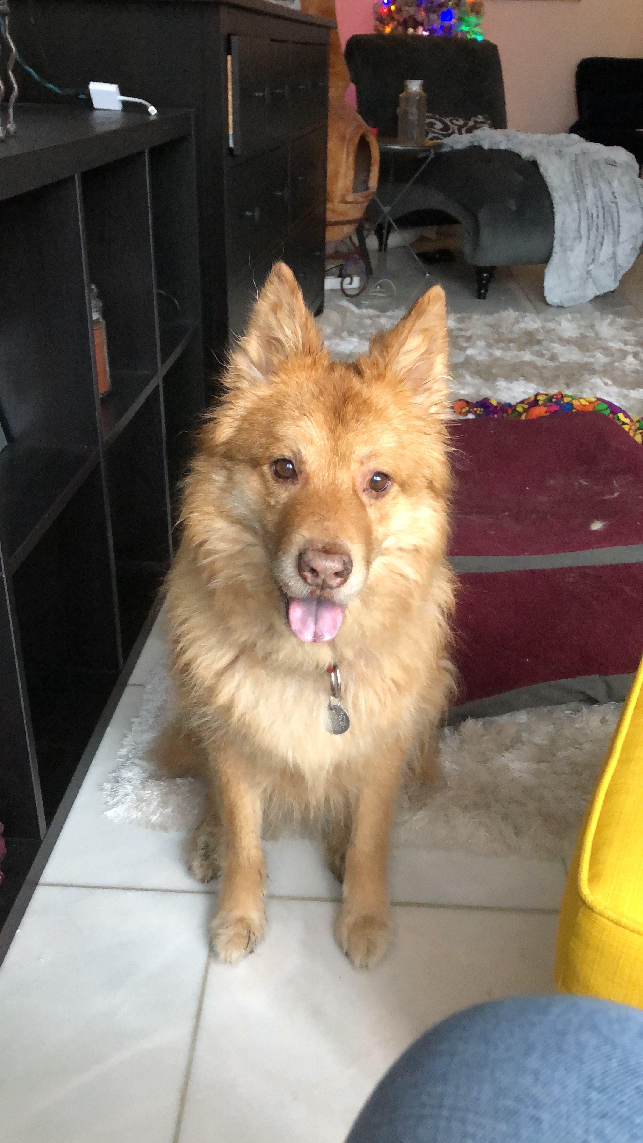 c19237f5-a045-487a-afb5-fba2fcd965e4